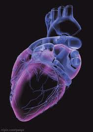 images6